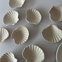 Shell Dish