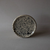 Coco Plate Painter