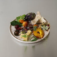Dinner Plate Birdy light