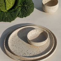 Dinner Plate Birdy light
