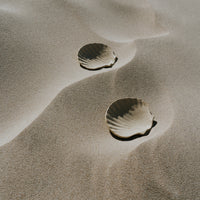 Shell Dish