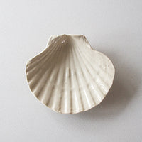 Shell Dish / B-Ware
