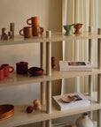 Hugo Shelfy in Clay