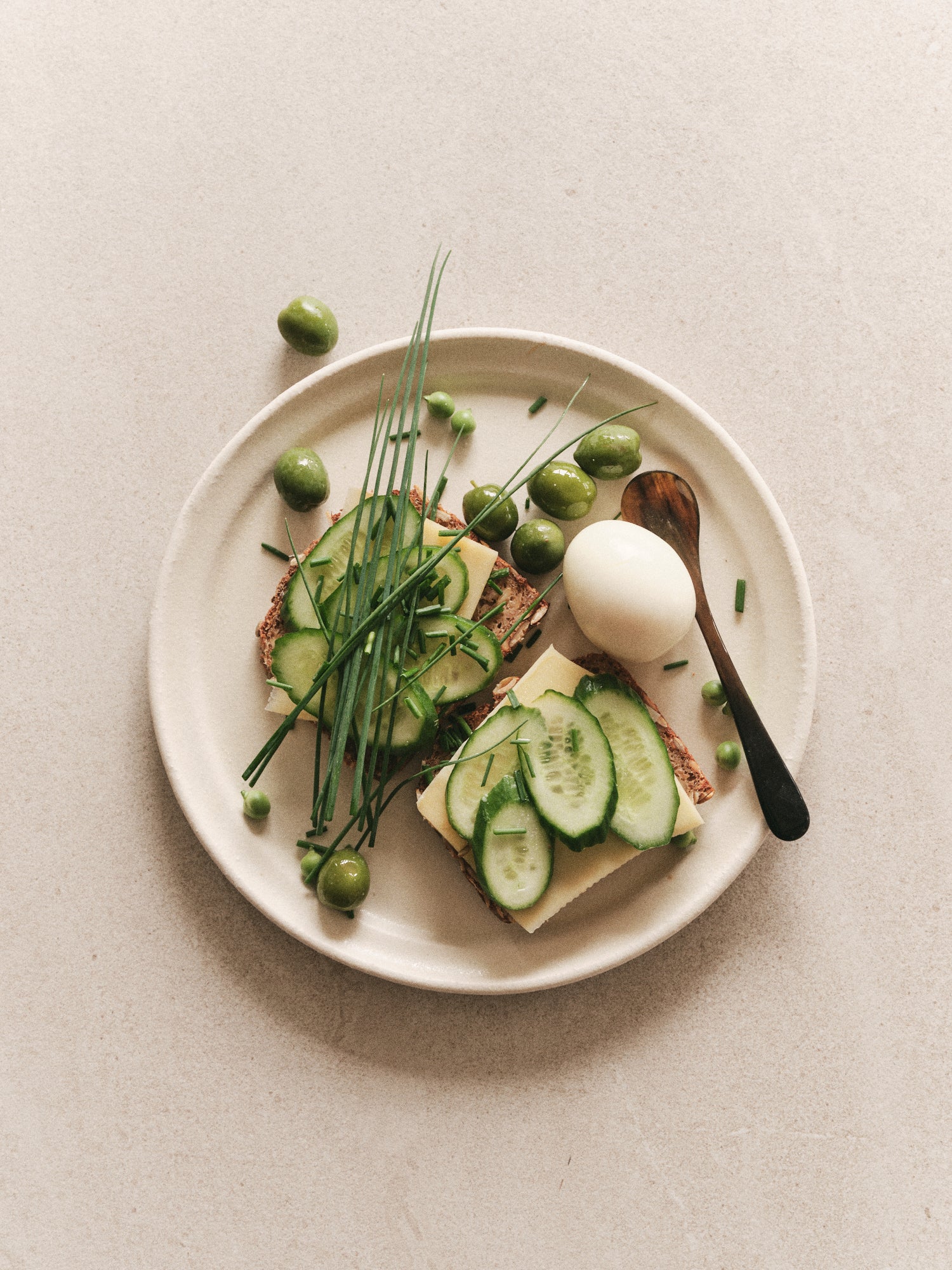 Dinner Plate Raw Silk